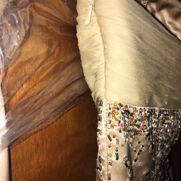 Alyce Design Aline strapless nude gown. SZ. 4 - Picture 8 of 10